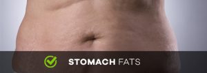 stomach fats