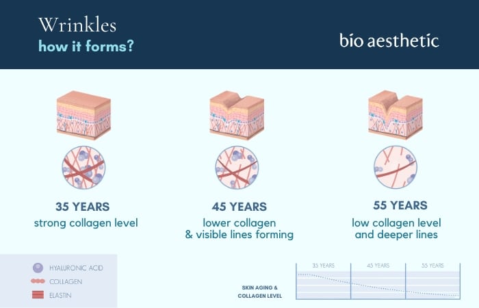 how does wrinkles form or evolve?